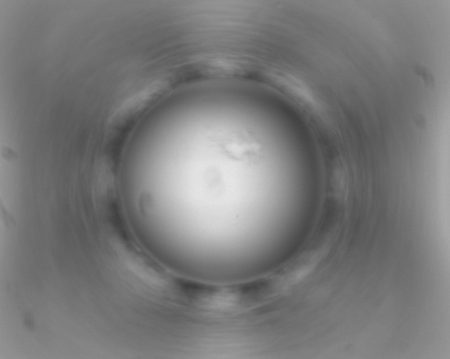 X0000090950318200708021342