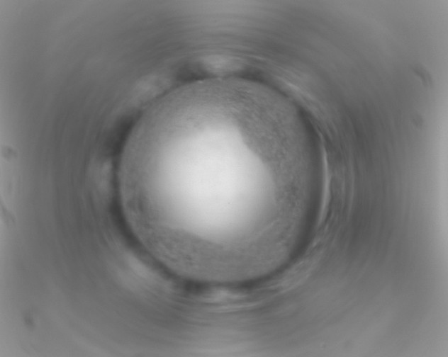 X0000090950319200708021342
