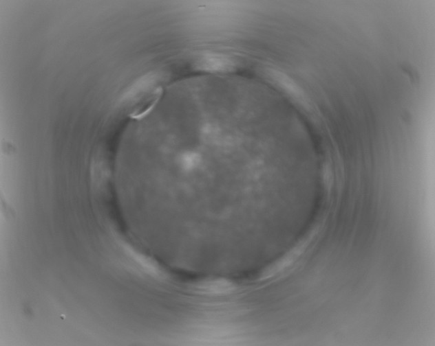 X0000090950322200708021342