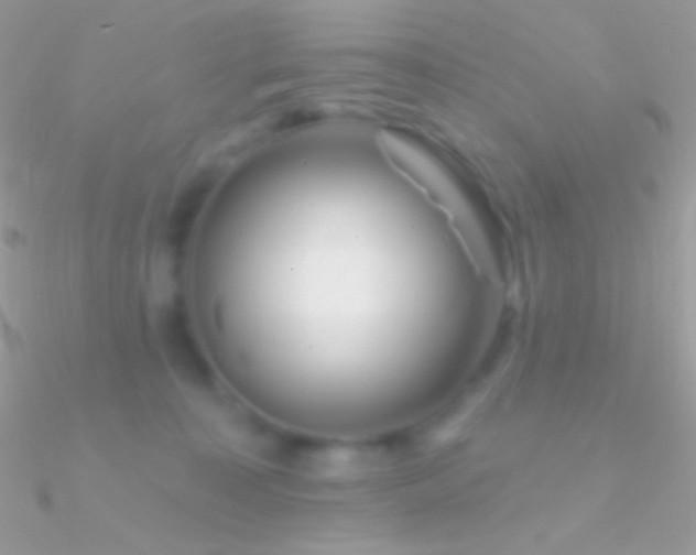 X0000090950323200708021342