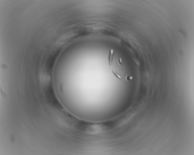 X0000090950324200708021342