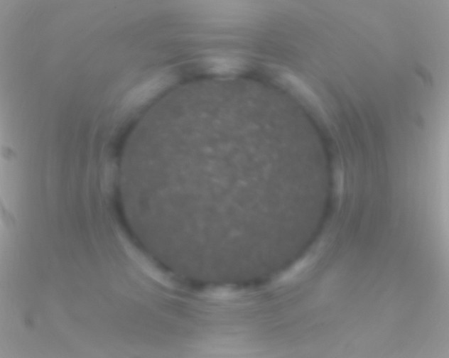 X0000090950325200708021342