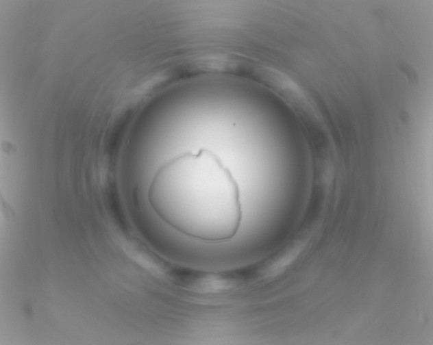 X0000090950326200708021342