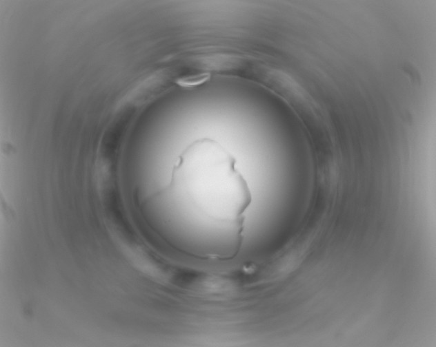 X0000090950327200708021342