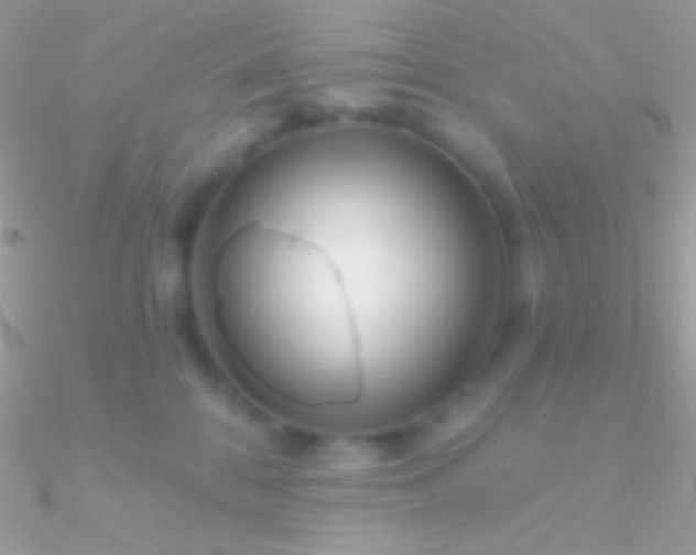 X0000090950328200708021342