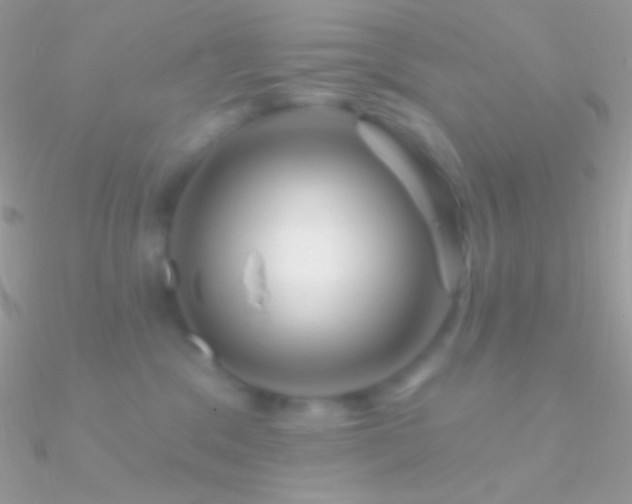 X0000090950329200708021342