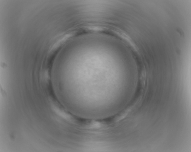 X0000090950330200708021341