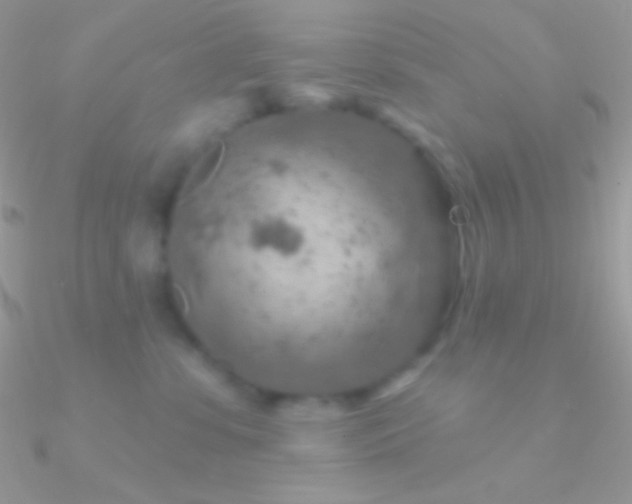X0000090950331200708021341