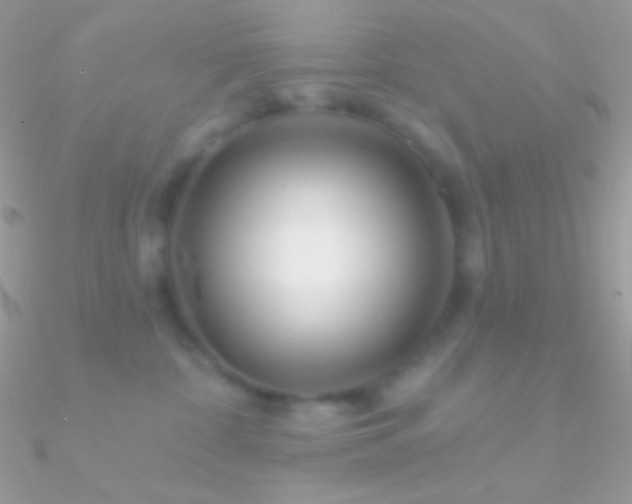X0000090950332200708021341