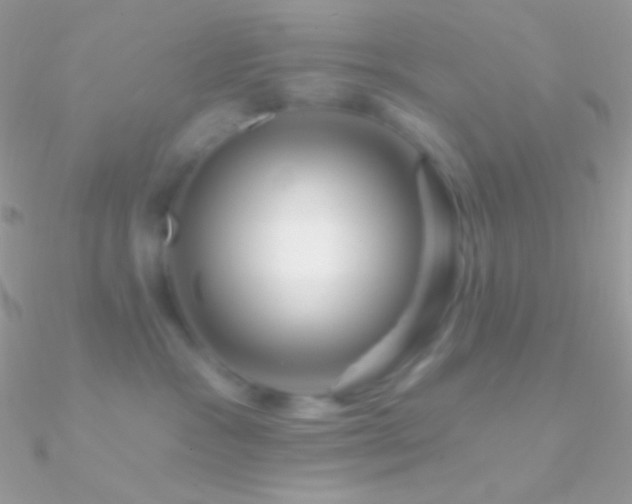 X0000090950333200708021341