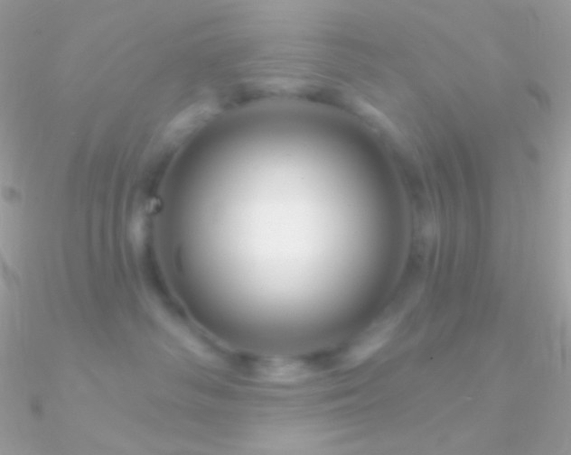 X0000090950334200708021341