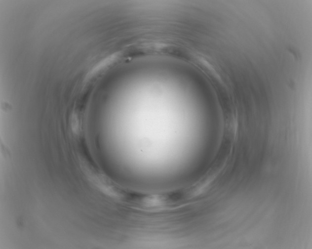 X0000090950335200708021341