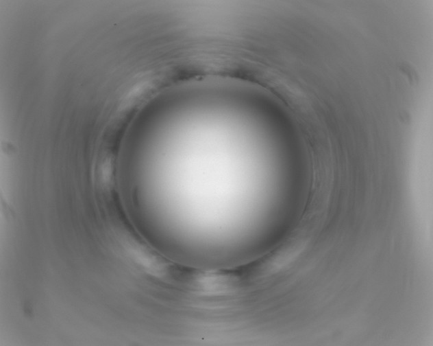 X0000090950336200708021341