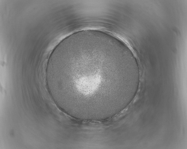 X0000090950337200708021341