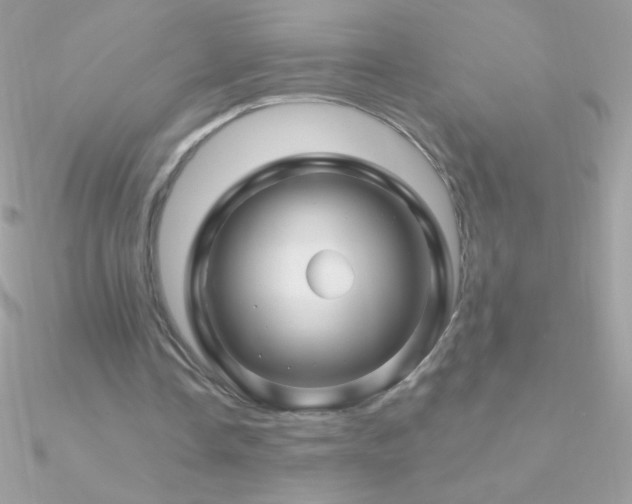 X0000090950338200708021341