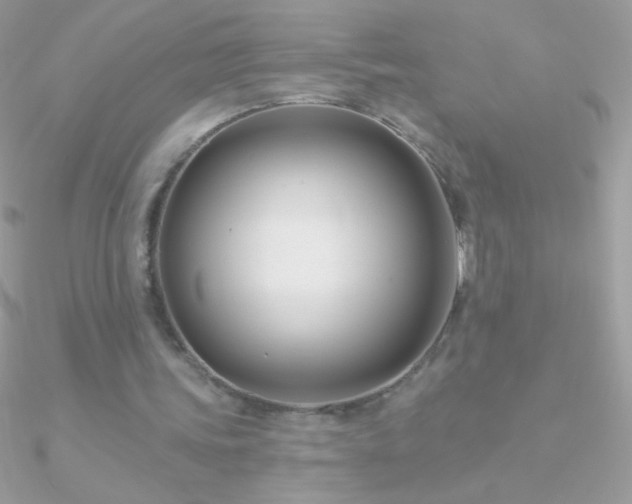 X0000090950339200708021341