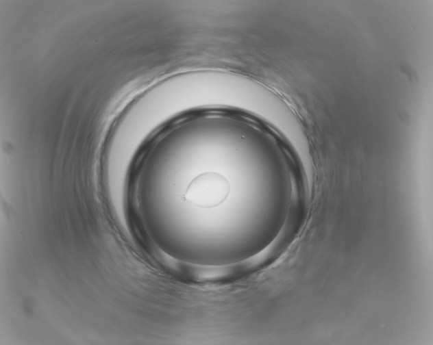 X0000090950340200708021341