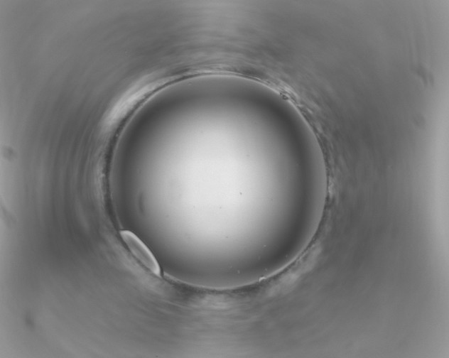 X0000090950341200708021341