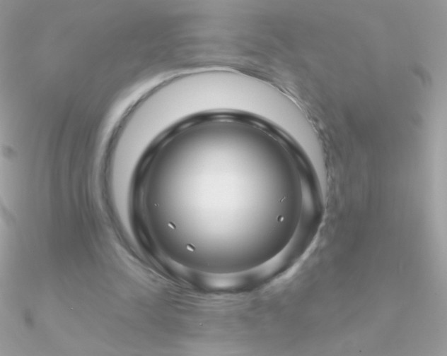X0000090950342200708021341