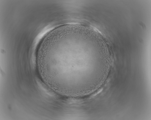 X0000090950343200708021341