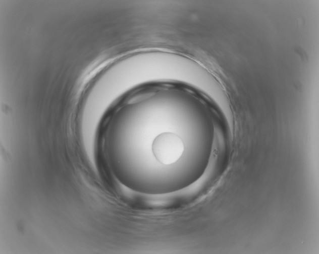 X0000090950344200708021341