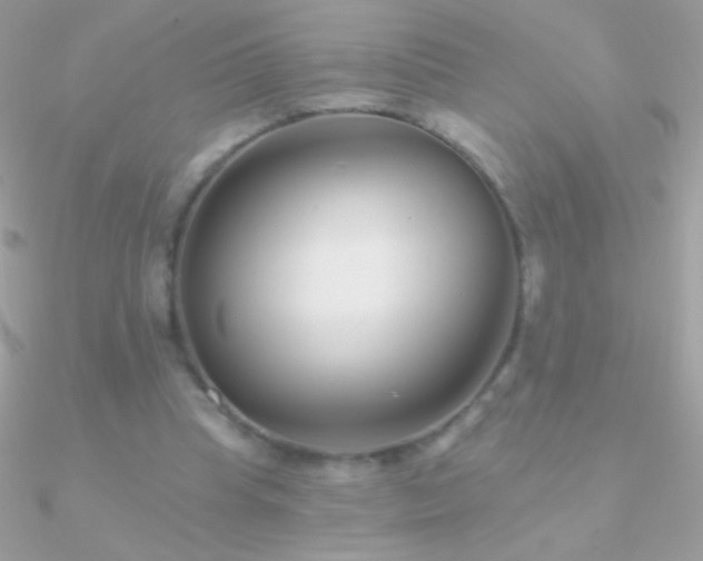 X0000090950345200708021341