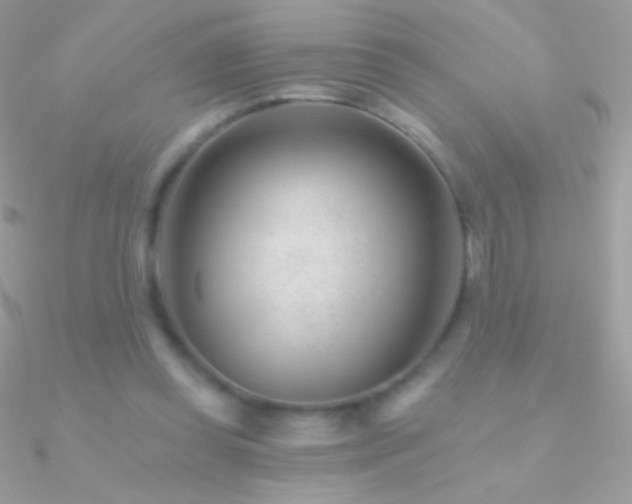 X0000090950349200708021341