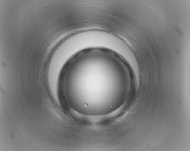 X0000090950350200708021341
