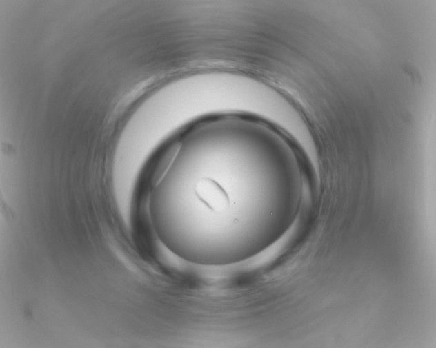 X0000090950352200708021341