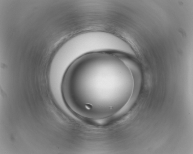 X0000090950354200708021341