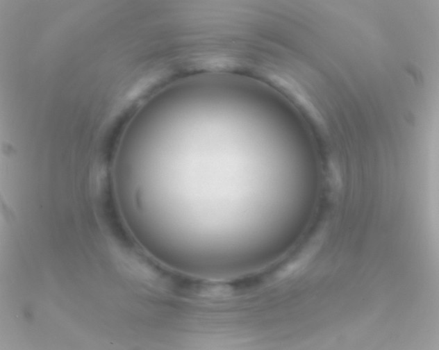 X0000090950355200708021341