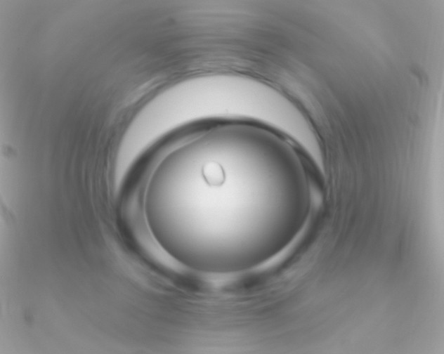 X0000090950356200708021341