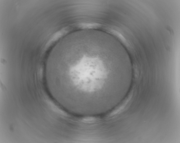 X0000090950357200708021341