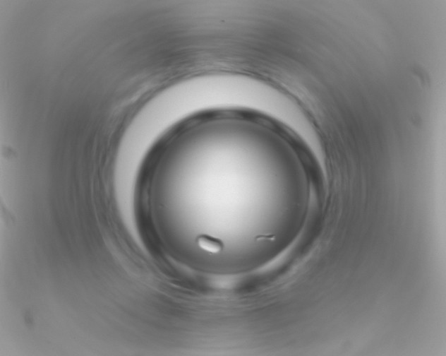 X0000090950358200708021341