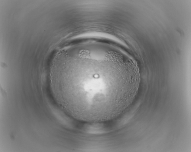 X0000090950359200708021341