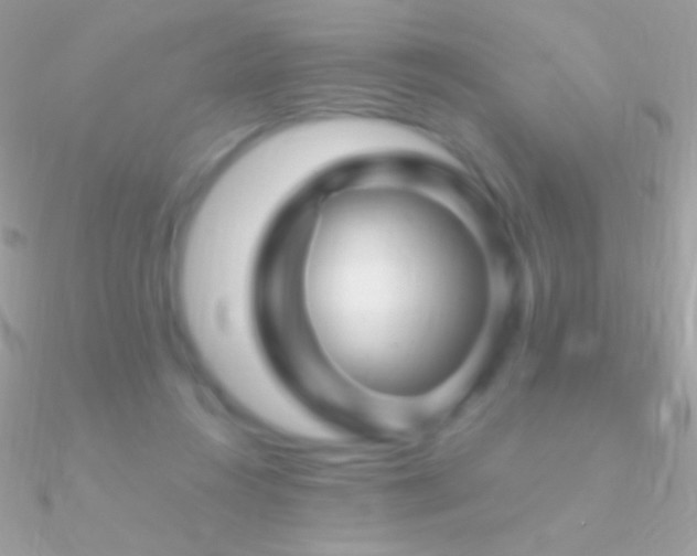X0000090950360200708021341