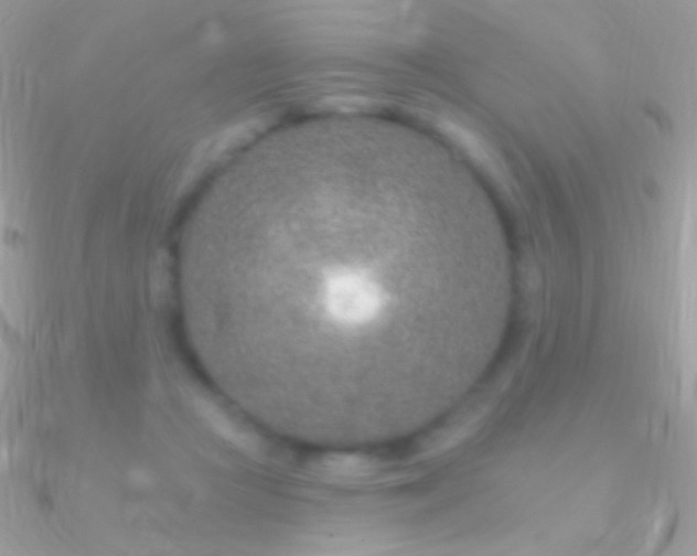X0000090950361200708021341