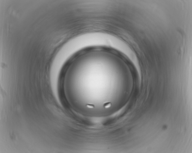 X0000090950362200708021341