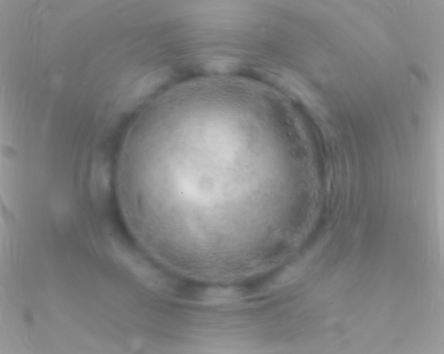 X0000090950363200708021341