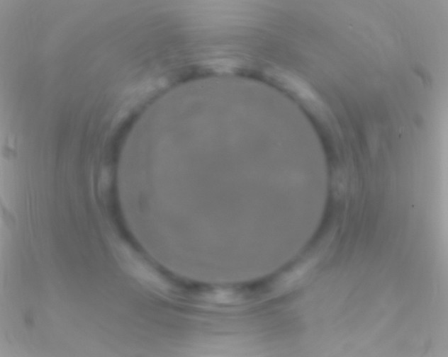 X0000090950365200708021341
