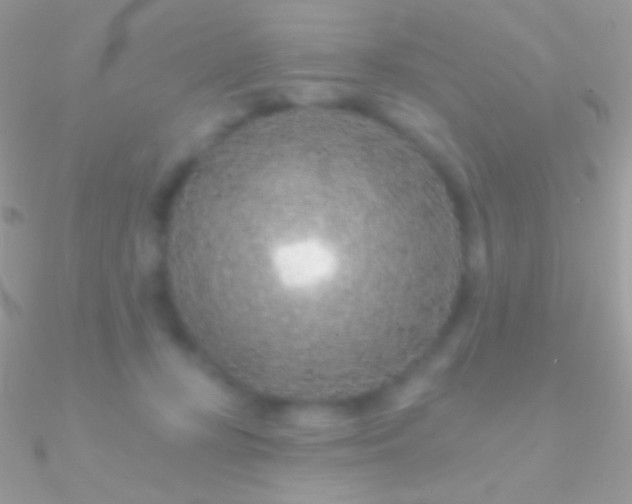 X0000090950367200708021341