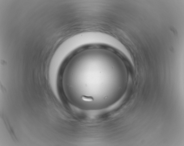 X0000090950368200708021341