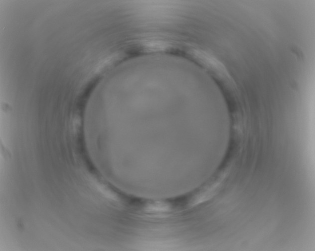 X0000090950369200708021341