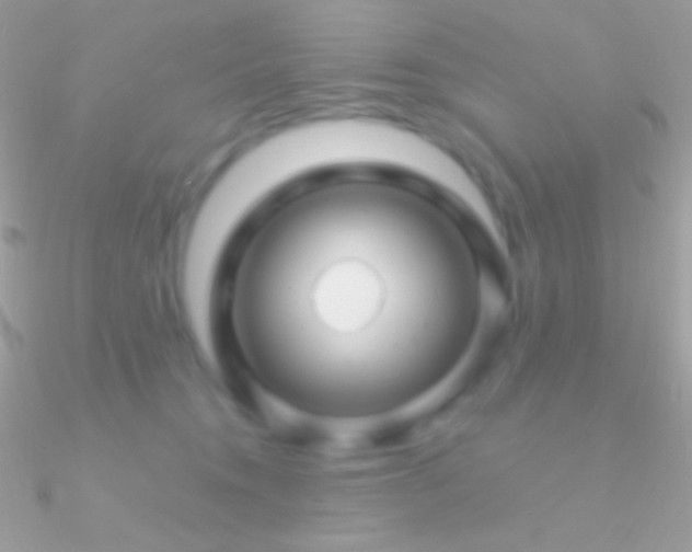 X0000090950372200708021341
