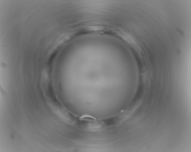 X0000090950373200708021341