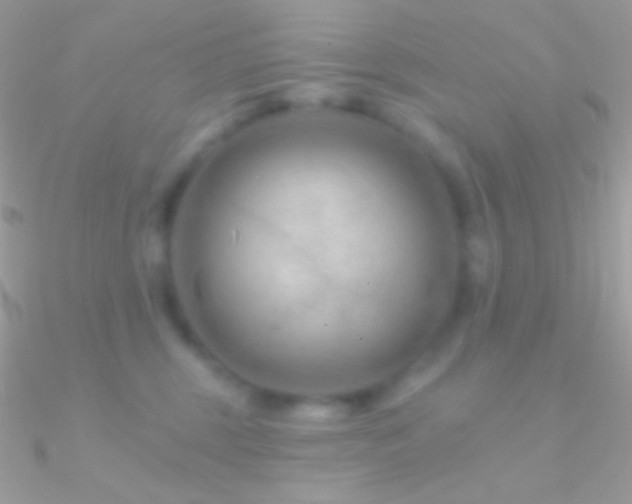 X0000090950375200708021341
