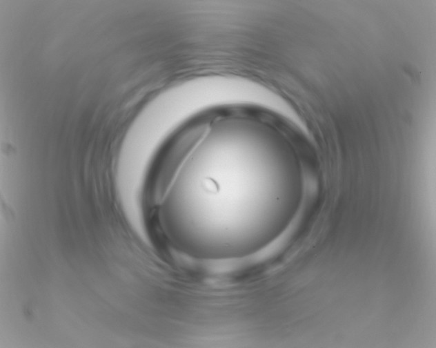 X0000090950376200708021341