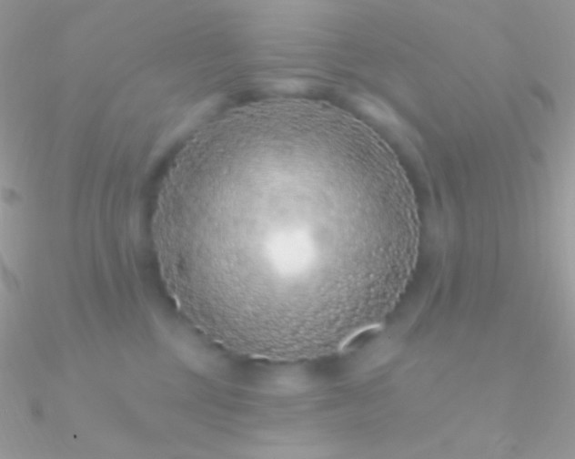 X0000090950377200708021341
