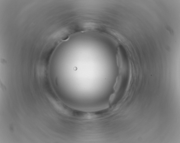 X0000090950379200708021341