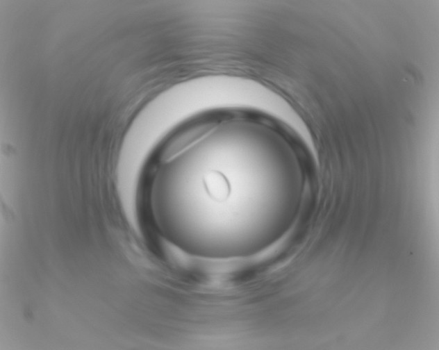 X0000090950380200708021341